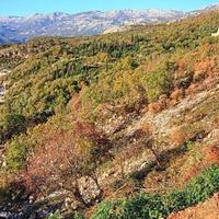 Земельный участок на первой линии моря/озера, в пригороде в Черногории, Будва, Пржно