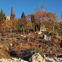 Земельный участок на первой линии моря/озера, в пригороде в Черногории, Будва, Пржно