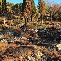 Земельный участок на первой линии моря/озера, в пригороде в Черногории, Будва, Пржно