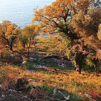 Земельный участок на первой линии моря/озера, в пригороде в Черногории, Будва, Пржно