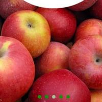 Other in the suburbs in Bulgaria, Burgas Province, Elenite, 65535 sq.m.