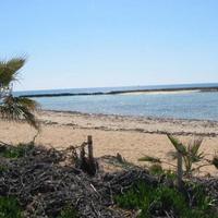 House in Republic of Cyprus, Protaras, 310 sq.m.