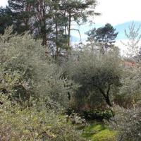 Дом в Италии, Варезе