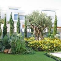 House in Republic of Cyprus, Protaras, 190 sq.m.