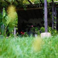 Other in the suburbs in Bulgaria, Dobrich region, 65535 sq.m.