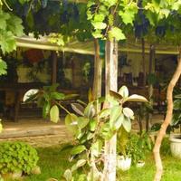 Other in the suburbs in Bulgaria, Dobrich region, 65535 sq.m.