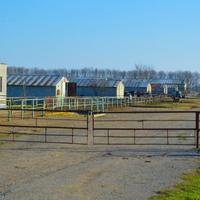 Other in the suburbs in Bulgaria, Dobrich region, 65535 sq.m.