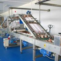 Other in the suburbs in Bulgaria, Elkhovo, 12000 sq.m.