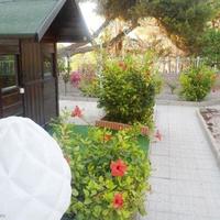 House in Spain, Comunitat Valenciana, Alicante, 200 sq.m.