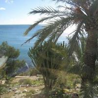 House in Spain, Comunitat Valenciana, Alicante