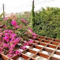 House in Republic of Cyprus, Lemesou, 385 sq.m.