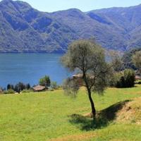 Земельный участок в Италии, Варезе