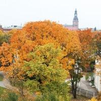 Flat in Latvia, Riga, 199 sq.m.
