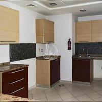 Апартаменты в ОАЭ, Дубаи, Аджман, 428 кв.м.