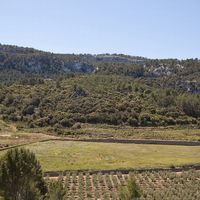 Villa in Spain, Balearic Islands, Palma, 922 sq.m.