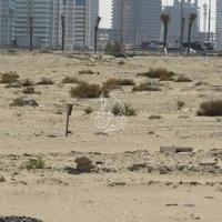 Земельный участок в ОАЭ, Дубаи