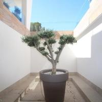 Apartment in Spain, Comunitat Valenciana, Alicante, 330 sq.m.