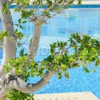 House in Republic of Cyprus, Eparchia Larnakas, Larnaca