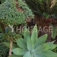 Villa in Republic of Cyprus, Lemesou, 327 sq.m.