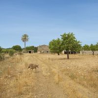 Дом в Испании, Балеарские Острова, Пальма, 6000 кв.м.