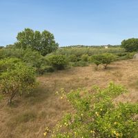 Дом в Испании, Балеарские Острова, Пальма, 6000 кв.м.