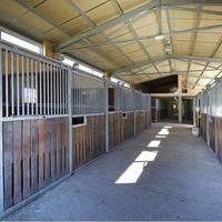 House in Spain, Balearic Islands, Palma, 348 sq.m.