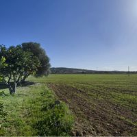 House in Spain, Balearic Islands, Palma, 348 sq.m.