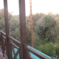 Другая коммерческая недвижимость на Кипре, Лимасол