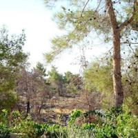 Villa in Republic of Cyprus, Lemesou, 138 sq.m.