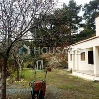 Villa in Republic of Cyprus, Lemesou, Nicosia, 200 sq.m.