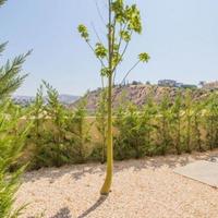 Villa in Republic of Cyprus, Lemesou, 152 sq.m.