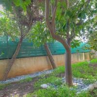 Other commercial property in Republic of Cyprus, Lemesou