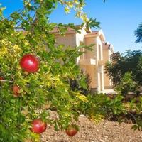 Вилла на Кипре, Пафос, Никосия, 198 кв.м.