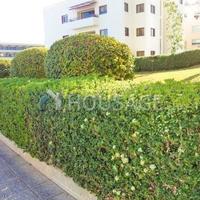 Apartment in Republic of Cyprus, Lemesou, 125 sq.m.