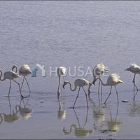 Другая коммерческая недвижимость на Кипре, Ларнака, 185 кв.м.