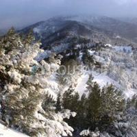 Вилла на Кипре, Лимасол, Никосия, 450 кв.м.