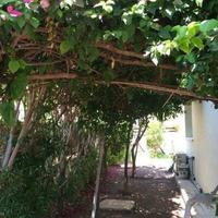 Villa in Republic of Cyprus, Protaras, 165 sq.m.