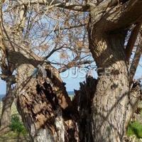 Townhouse in Republic of Cyprus, Eparchia Pafou, Nicosia