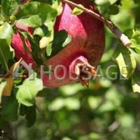 House in Republic of Cyprus, Lemesou, 150 sq.m.