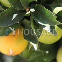 House in Republic of Cyprus, Lemesou, 150 sq.m.