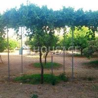 Другая коммерческая недвижимость на Кипре, Лимасол