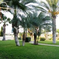 Townhouse in Republic of Cyprus, Eparchia Pafou, Nicosia, 90 sq.m.