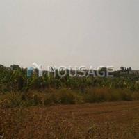 Land plot in Republic of Cyprus, Eparchia Pafou, Nicosia