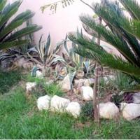 Villa in Republic of Cyprus, Lemesou, 186 sq.m.