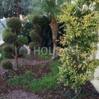 Flat in Republic of Cyprus, Lemesou, 335 sq.m.