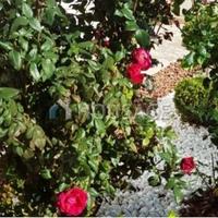 House in Republic of Cyprus, Eparchia Larnakas, Larnaca