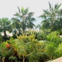 House in Republic of Cyprus, Protaras, 135 sq.m.