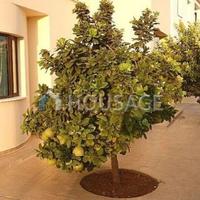 Вилла на Кипре, Протарас, 138 кв.м.