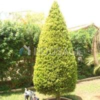 Вилла на Кипре, Лимасол, 225 кв.м.