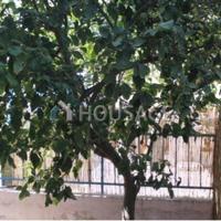 Вилла на Кипре, Лимасол, 160 кв.м.